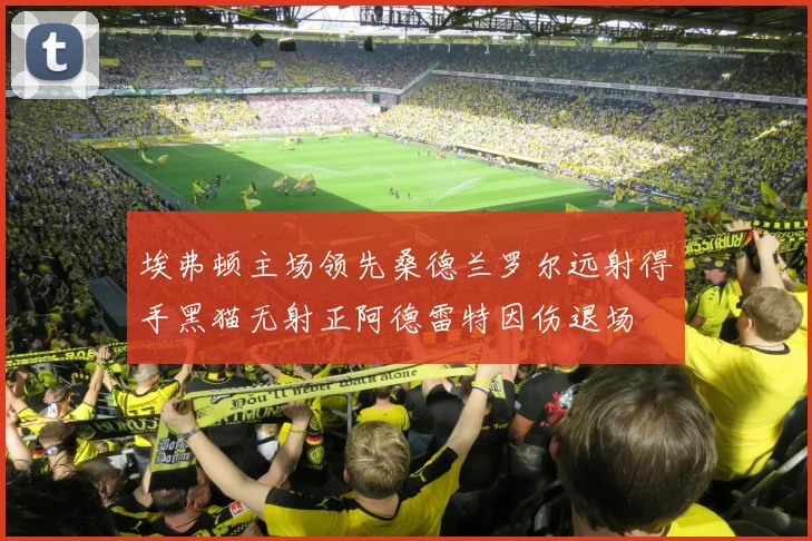 埃弗顿主场领先桑德兰罗尔远射得手黑猫无射正阿德雷特因伤退场
